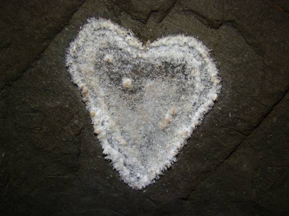 Salão Taqueupa na Caverna Santana, no PETAR. Foto do Jura, da Parque Aventuras